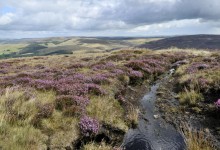Landscapes